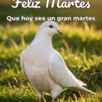 feliz martes que hoy sea un gran martes