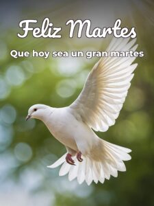 Feliz martes Dios te bendiga para WhatsApp gratis