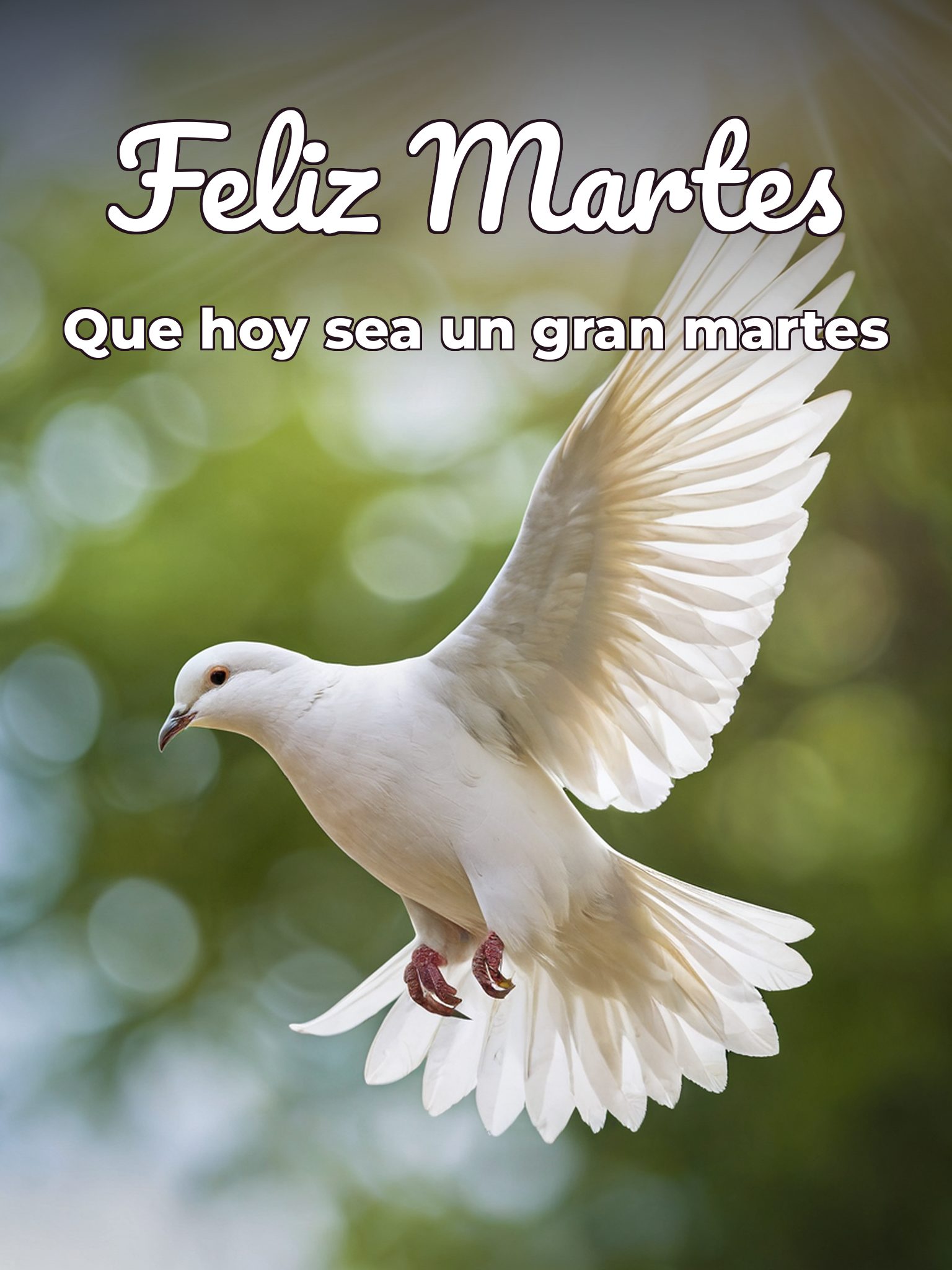 Feliz martes Dios te bendiga para WhatsApp gratis