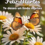 feliz martes te deseo un lindo martes
