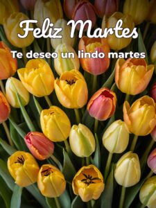 Feliz martes frases