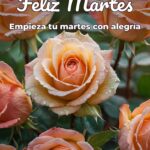 feliz martes empieza tu martes con alegría