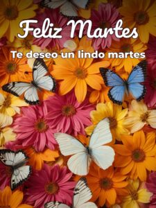 Feliz martes frases de reflexión para descargar gratis para celular