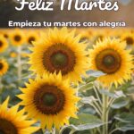 feliz martes empieza tu martes con alegría