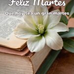 feliz martes que hoy sea un gran martes
