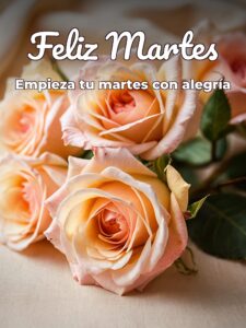 Feliz martes mi amor frases
