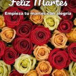 feliz martes empieza tu martes con alegría