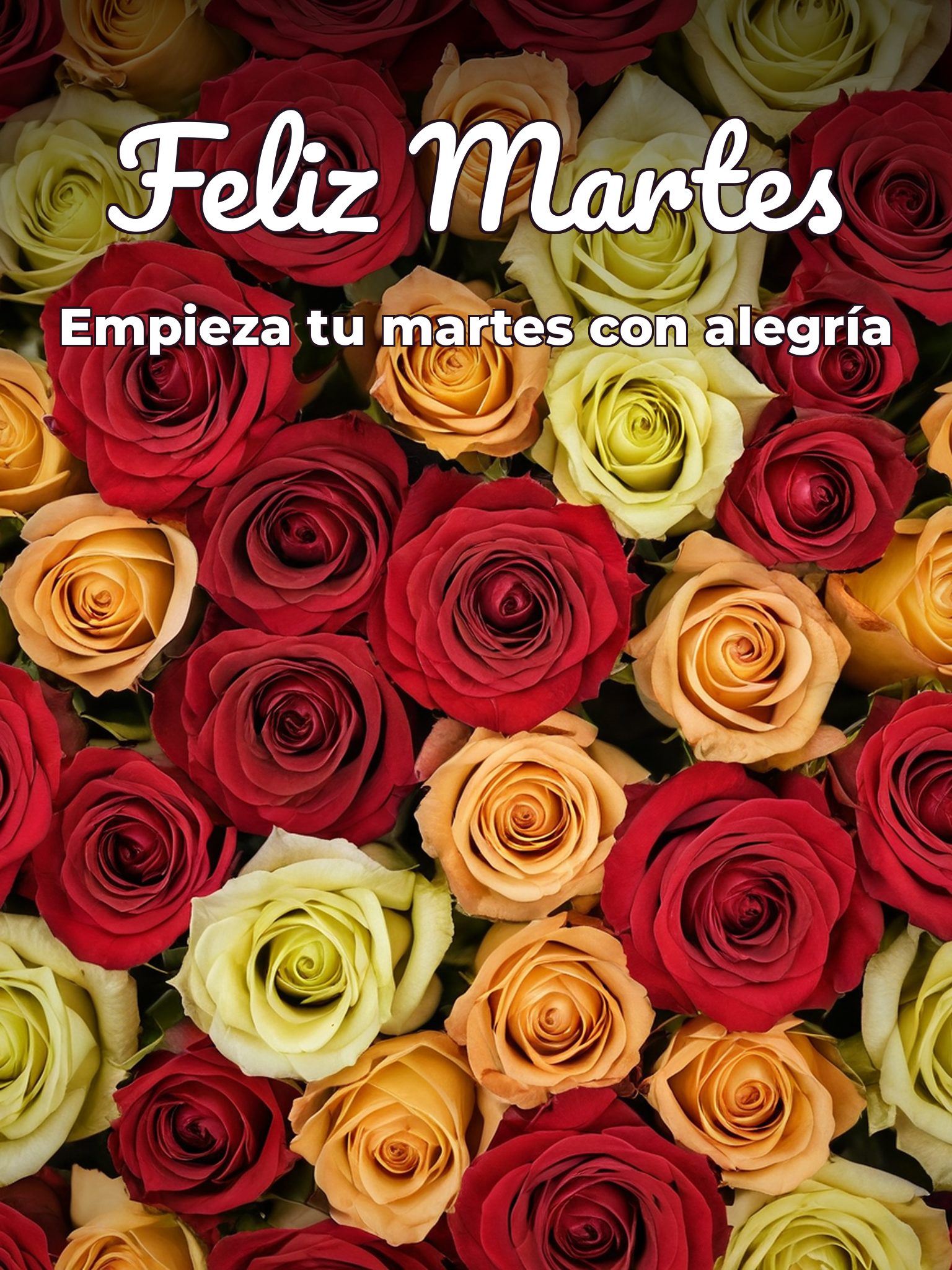 Feliz martes mi amor frases para descargar gratis