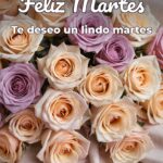 feliz martes te deseo un lindo martes