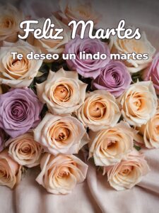 Feliz martes mi amor para WhatsApp gratis