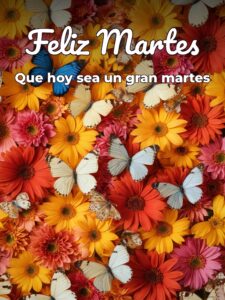 Feliz martes mi vida para descargar gratis