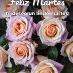 feliz martes te deseo un lindo martes