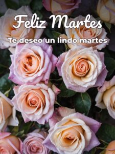 Feliz martes para descargar gratis para celular