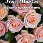 feliz martes que hoy sea un gran martes