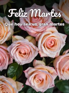 Feliz martes para WhatsApp para descargar gratis