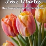 feliz martes que tengas un martes maravilloso