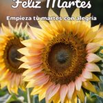 feliz martes empieza tu martes con alegría
