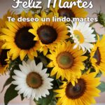 feliz martes te deseo un lindo martes