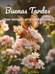 Feliz tarde de martes para WhatsApp celular
