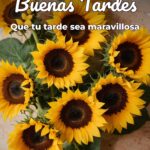 buenas tardes que tu tarde sea maravillosa