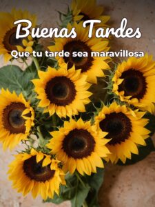 Feliz tarde de miércoles para WhatsApp celular