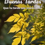 buenas tardes que tu tarde sea maravillosa