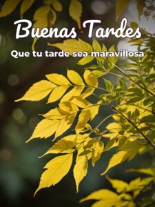 Feliz tarde de viernes para Facebook y WhatsApp