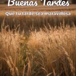 buenas tardes que tu tarde sea maravillosa