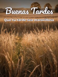 Feliz tarde mi vida para WhatsApp celular