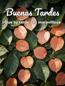 Feliz tarde para WhatsApp celular
