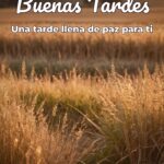 buenas tardes una tarde llena de paz para ti