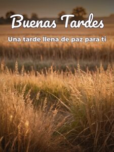 Feliz tardecita para Facebook y WhatsApp