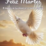 feliz martes empieza tu martes con alegría