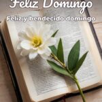 feliz domingo feliz y bendecido domingo