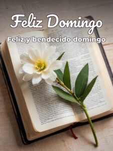 Feliz y bendecido domingo para celular