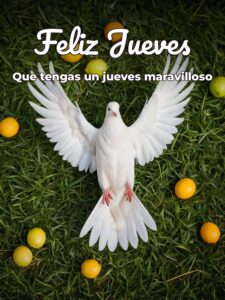 Feliz y bendecido jueves para WhatsApp