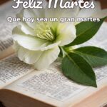 feliz martes que hoy sea un gran martes