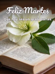 Feliz y bendecido martes para descargar gratis