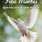 feliz martes que hoy sea un gran martes