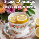 feliz domingo que dios bendiga tu domingo