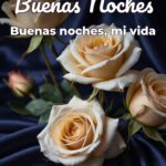 buenas noches buenas noches, mi vida