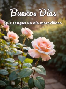 Fotos bonitas de buenos días para WhatsApp