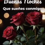 buenas noches que sueñes conmigo