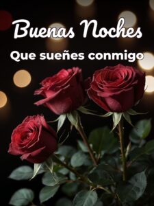 Fotos buenas noches amor