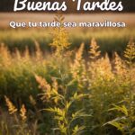 buenas tardes que tu tarde sea maravillosa