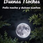 buenas noches feliz noche y dulces sueños