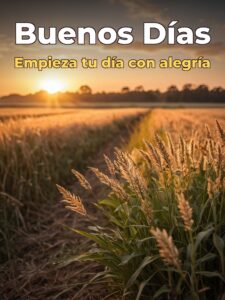Fotos con frases de buenos días para descargar