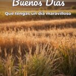 buenos días que tengas un día maravilloso