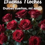 buenas noches dulces sueños, mi amor