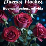 buenas noches buenas noches, mi vida